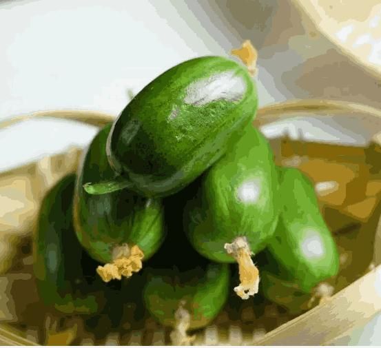 Cucumber - Golden Boy Lady Cucumber - Luxury Ways
