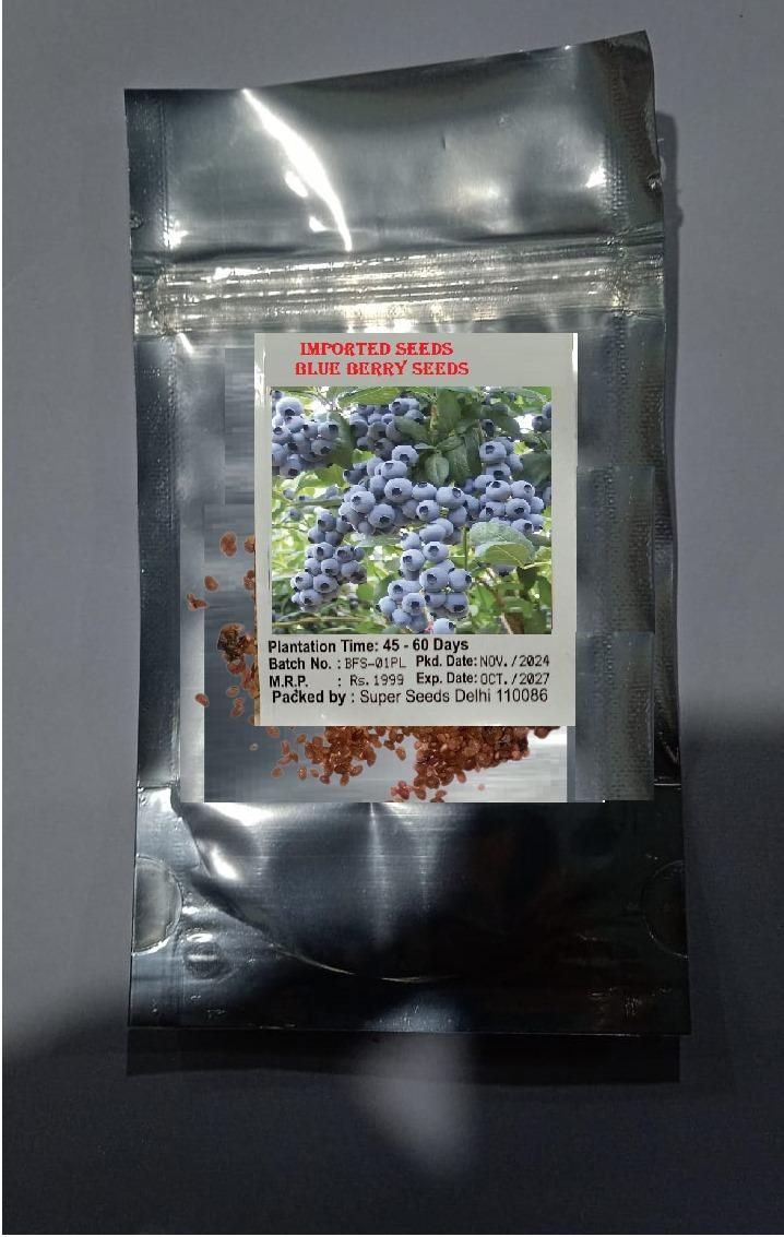 Giant Blueberry Fruit Seeds - Luxury Ways