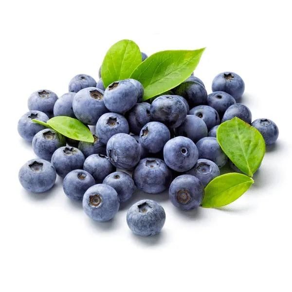 Giant Blueberry Fruit Seeds - Luxury Ways