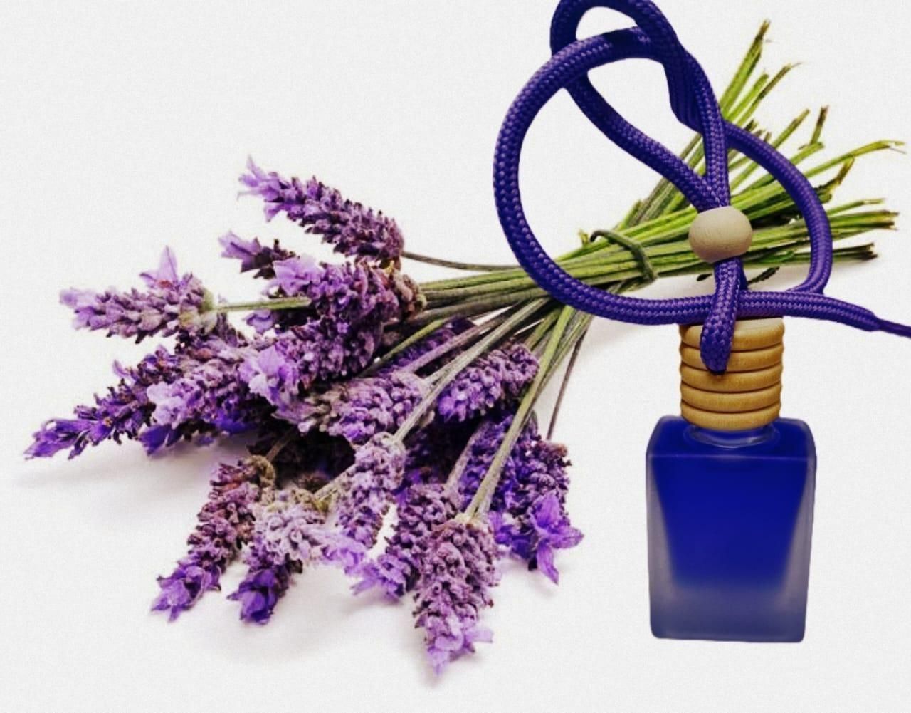 Hanging Car Perfume Pods Diffuser Scent (Assorted Perfume) - Luxury Ways