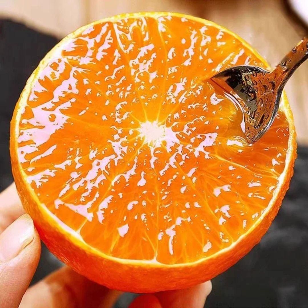 Jelly Orange Seeds - Luxury Ways