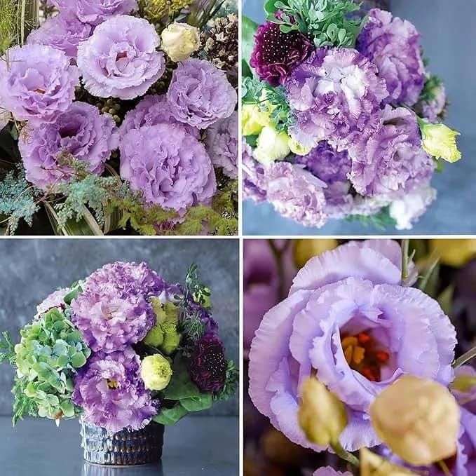 Lisianthus Seeds - Luxury Ways