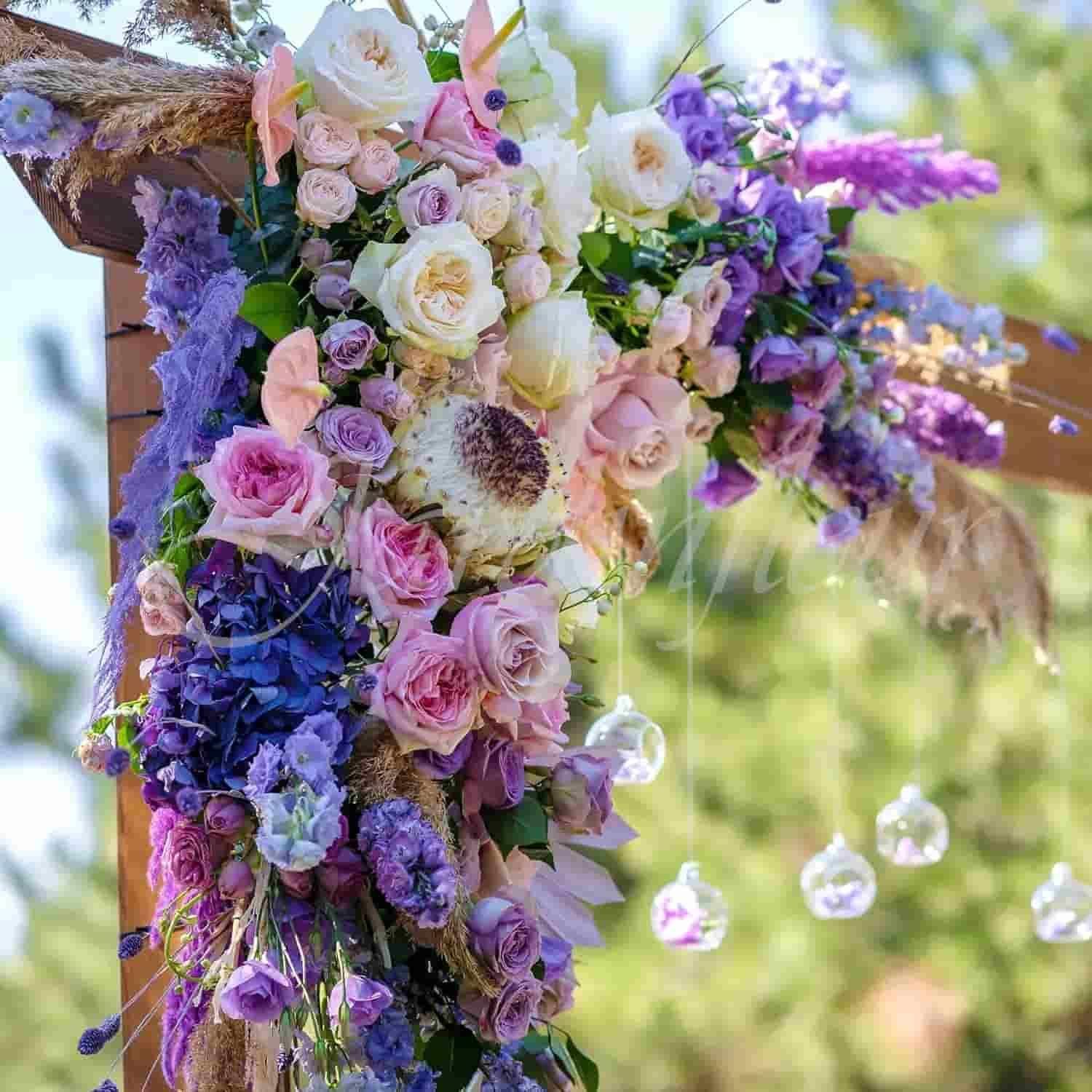 Lisianthus Seeds - Luxury Ways