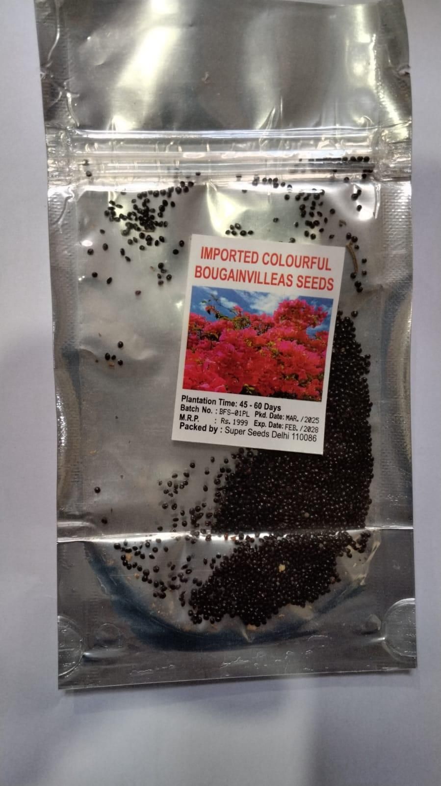 Mix Colour Bougainvillea Flower Seeds For Home Garden - Luxury Ways
