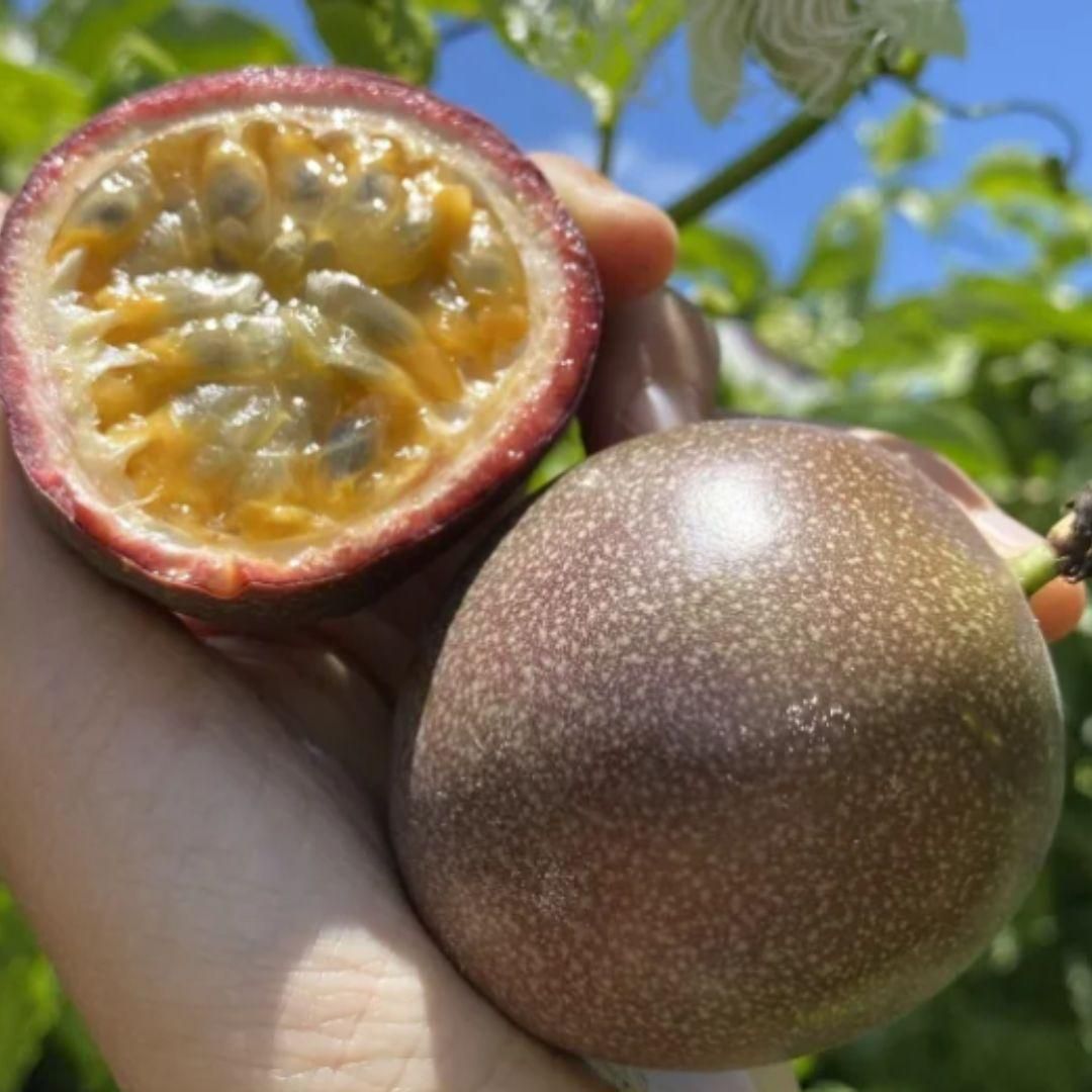 Passion Fruit Seeds - Luxury Ways