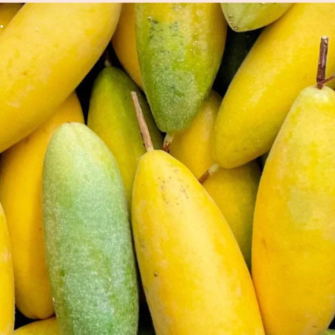 Rare Banana Passion Fruit Seeds - Luxury Ways