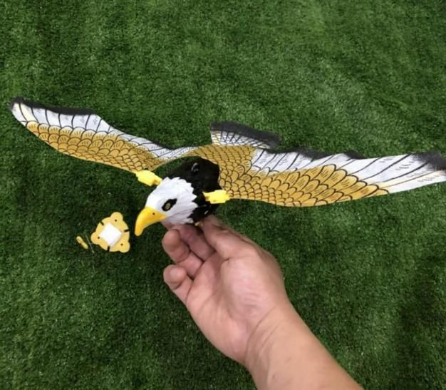 Realistic Flying Eagle Bird Toy with Spread Wings - Luxury Ways