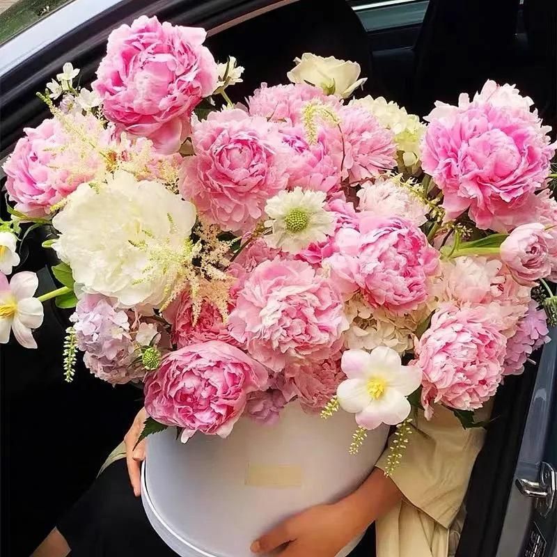 The Queen of Flowers?Peony Flower (Pack of 20) - Luxury Ways