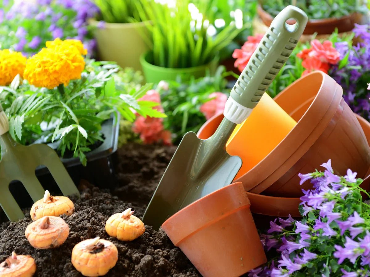 Gardening - Luxury Ways