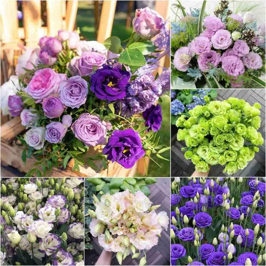 Lisianthus Seeds - Luxury Ways