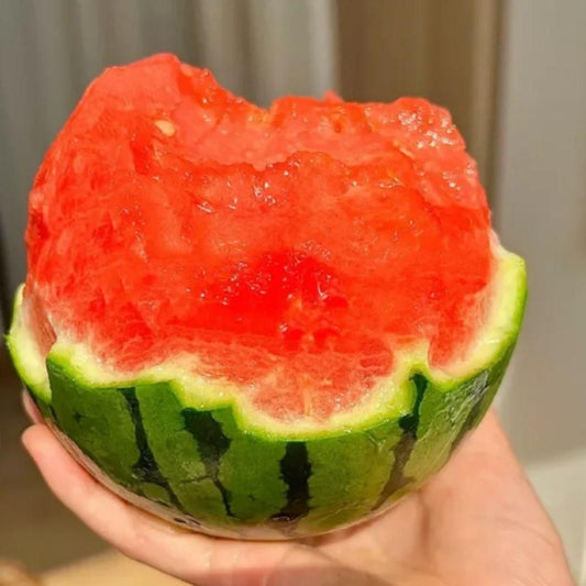 Ruby Watermelon Seeds - Luxury Ways